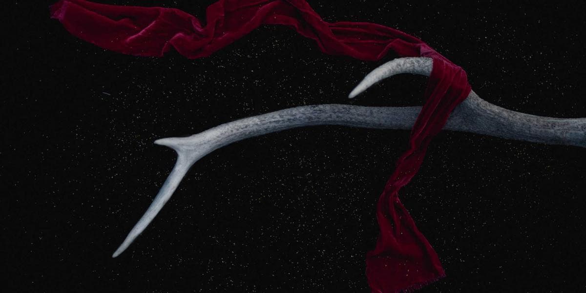 Oracle Is Hiring: Senior Java Developer — H1B Sponsor