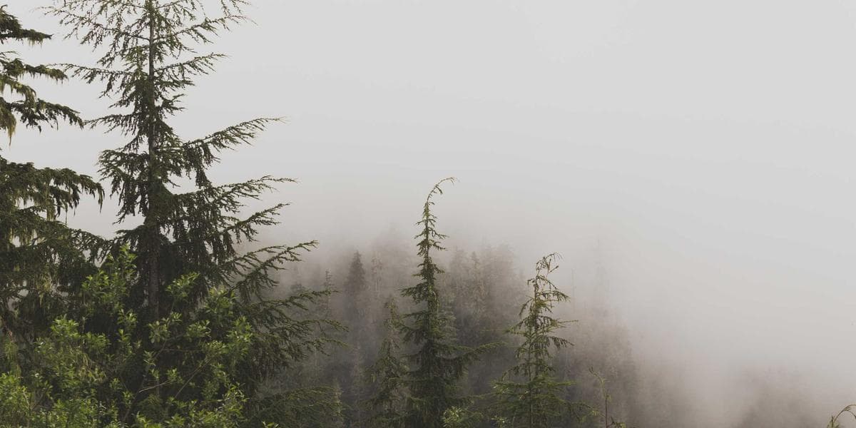 How to Find H1B Sponsor Jobs in 2026: A Practical Guide