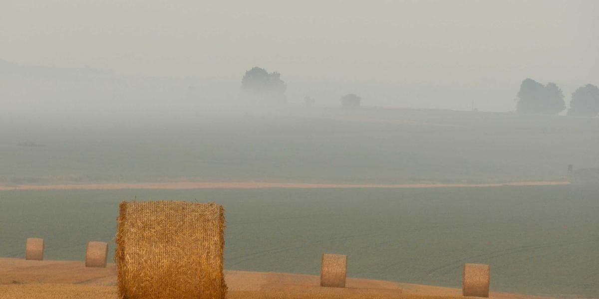 Apple Is Hiring: iOS Software Engineer — H1B Sponsor