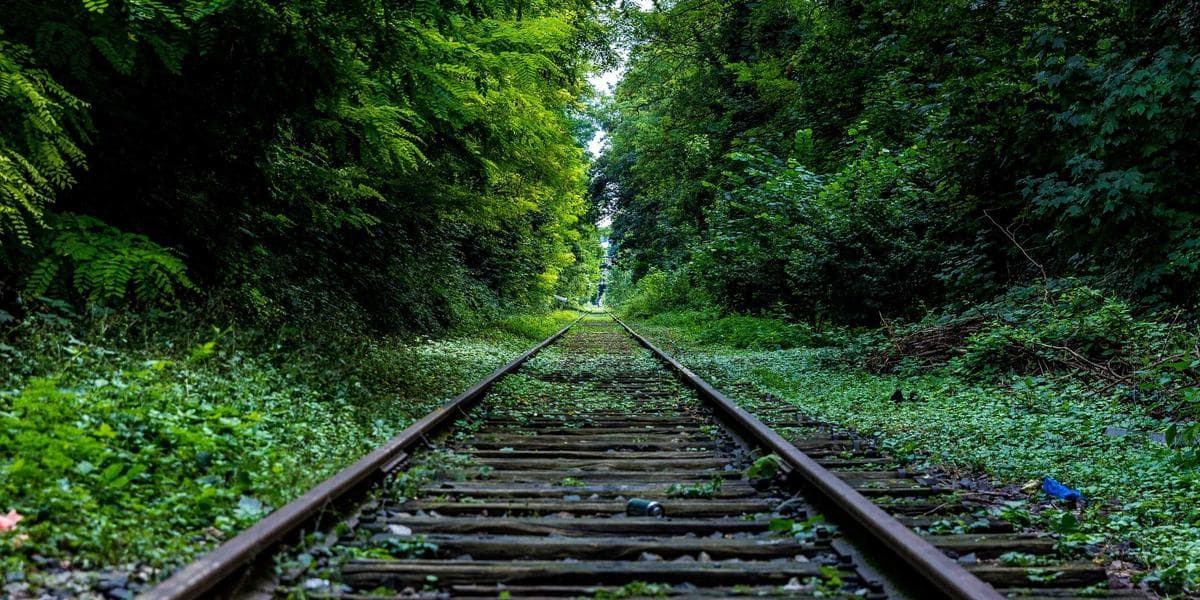 Salesforce Is Hiring: Cloud Architect — W2 Contract